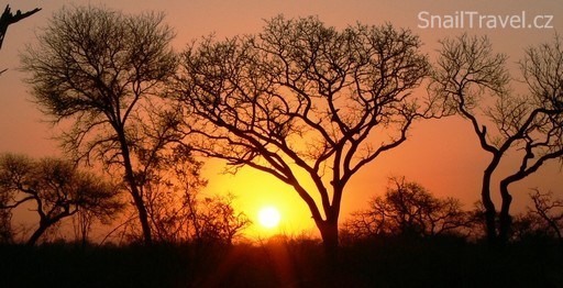 Krugerův národní park - 