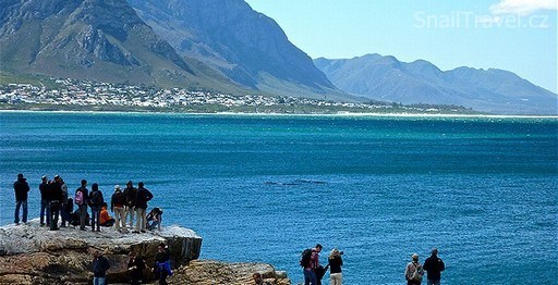 Hermanus - 