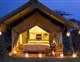 SERENGETI UNDER CANVAS - 