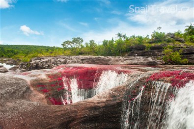 Cano Cristales - 