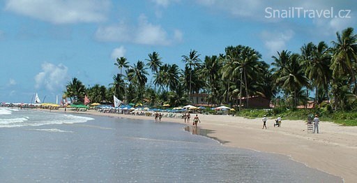 Pernambuco/ Recife - 