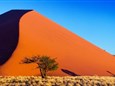 Namib Desert