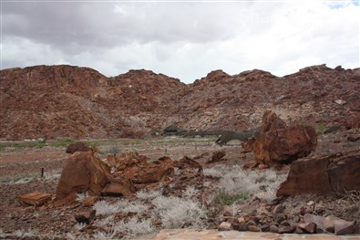 Damaraland - 