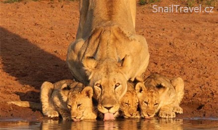 Etosha - 