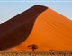 LUXUSNÍ SAFARI V NAMIBII S PRŮVODCEM - DUNE WONDERLAND - 