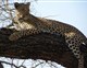 LUXUSNÍ SAFARI - TANZANIA HIGHLIGHTS - 