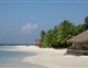 CHAAYA REEF ELLAIDHOO - 