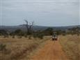 TANZÁNIE-DIVOKÉ SAFARI   -NÁRODNÍ PARK TARANGIRE