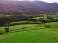 FUERTEVENTURA-OCCIDENTAL PLAYA-GOLF