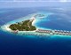 COCO PALM BODU HITHI - 