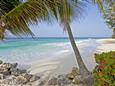 BARBADOS - Turtle Beach By Elegant Hotels - BEACH.jpg