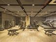 DUBAI - CAESARS RESORTS-FITNES.jpg