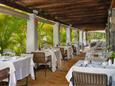 TENERIFE - JARDIN TECINA-RESTAURACE.jpg