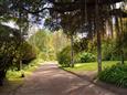 AZORY - FURNAS LAKE- TERRA NOSTRA GARDENS.jpg