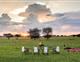 SINGITA GRUMETI SABORA TENTED CAMP - 