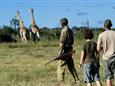 Botswana-Okavango-Jao-Camp-Safari