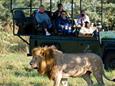 Botswana-Okavango-Jao-Camp-Safari