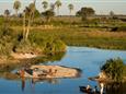 Botswana-Okavango-Jao-Camp-Safari