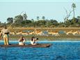 Botswana-Okavango-Jao-Camp-Safari