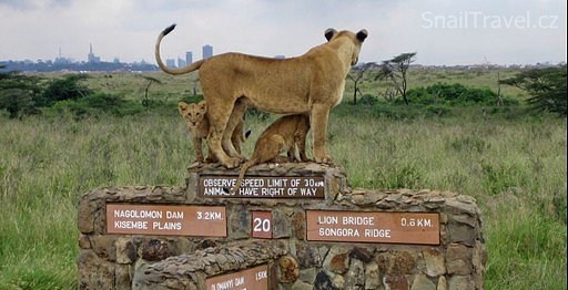 Nairobi - 