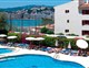 DELFIN MAR - 