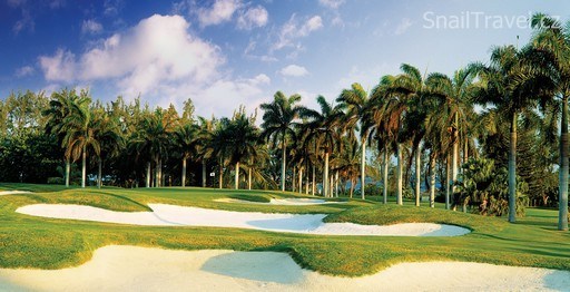 GOLF JAMAJKA - 